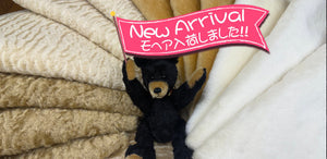 【モヘア入荷！！2025.08.06】